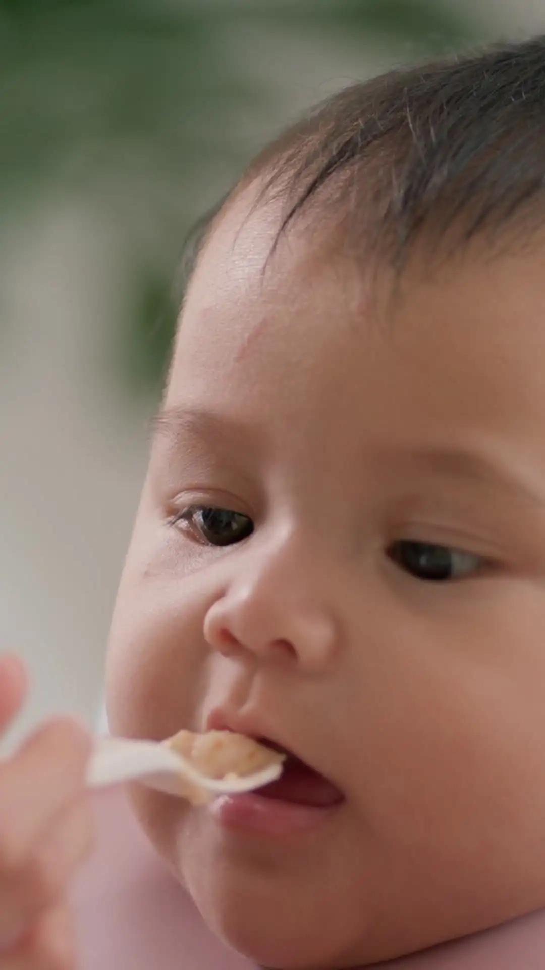 Jadwal Makan Awal MPASI