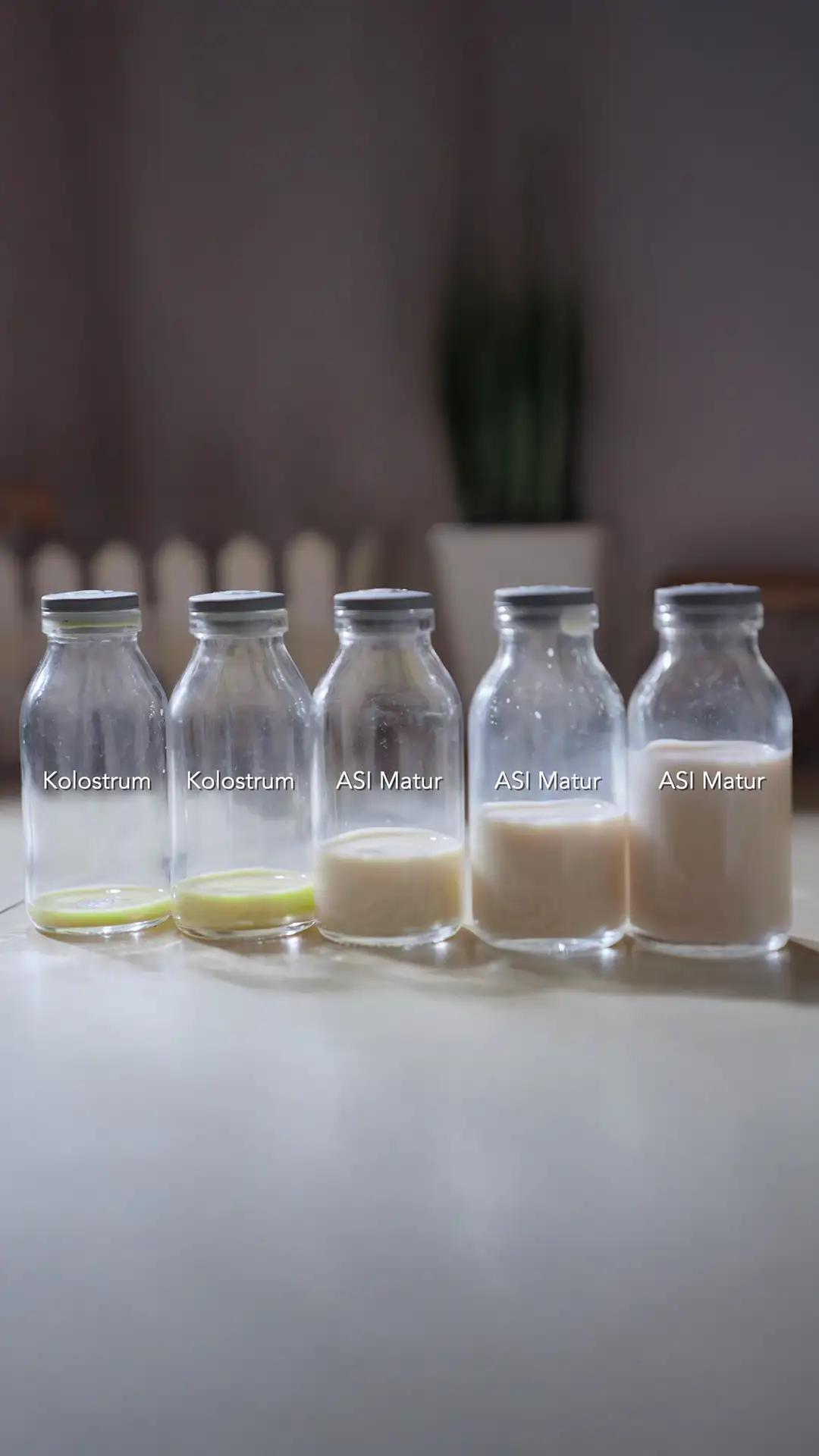 Menyusui di Hari Pertama